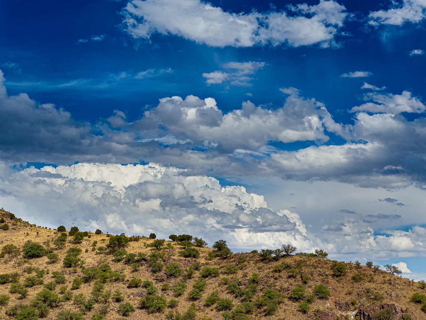 Desert hillside dotted with green scrub under a towering West Texas sky